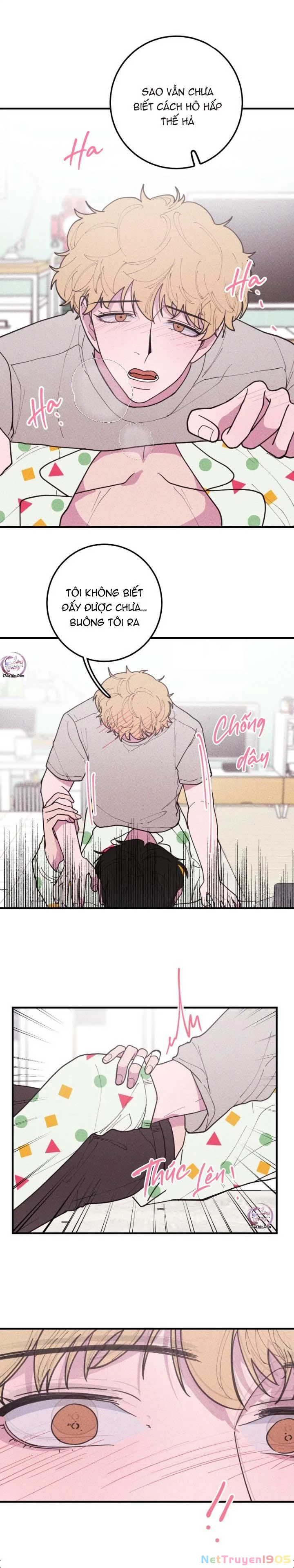 Hộp Bánh Quy Định Mệnh Chapter 33 - 7