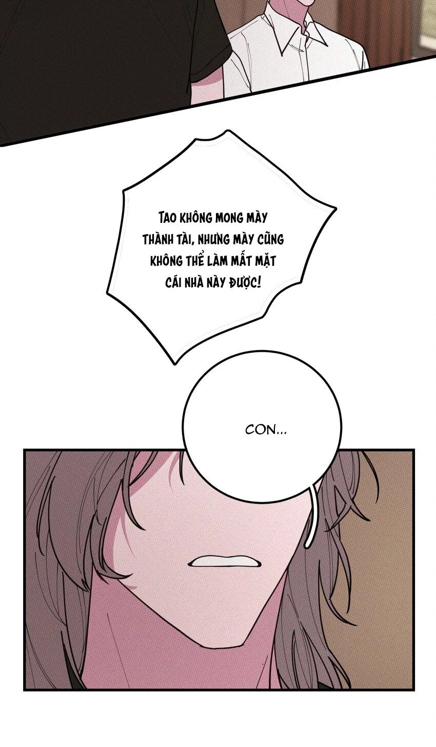 Hộp Bánh Quy Định Mệnh Chapter 34 - 14