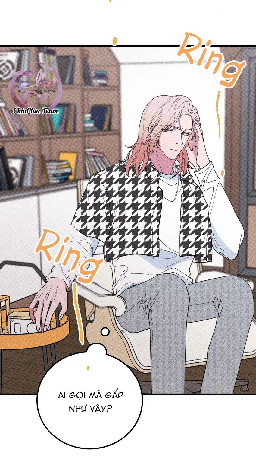 Hộp Bánh Quy Định Mệnh Chapter 34 - 45