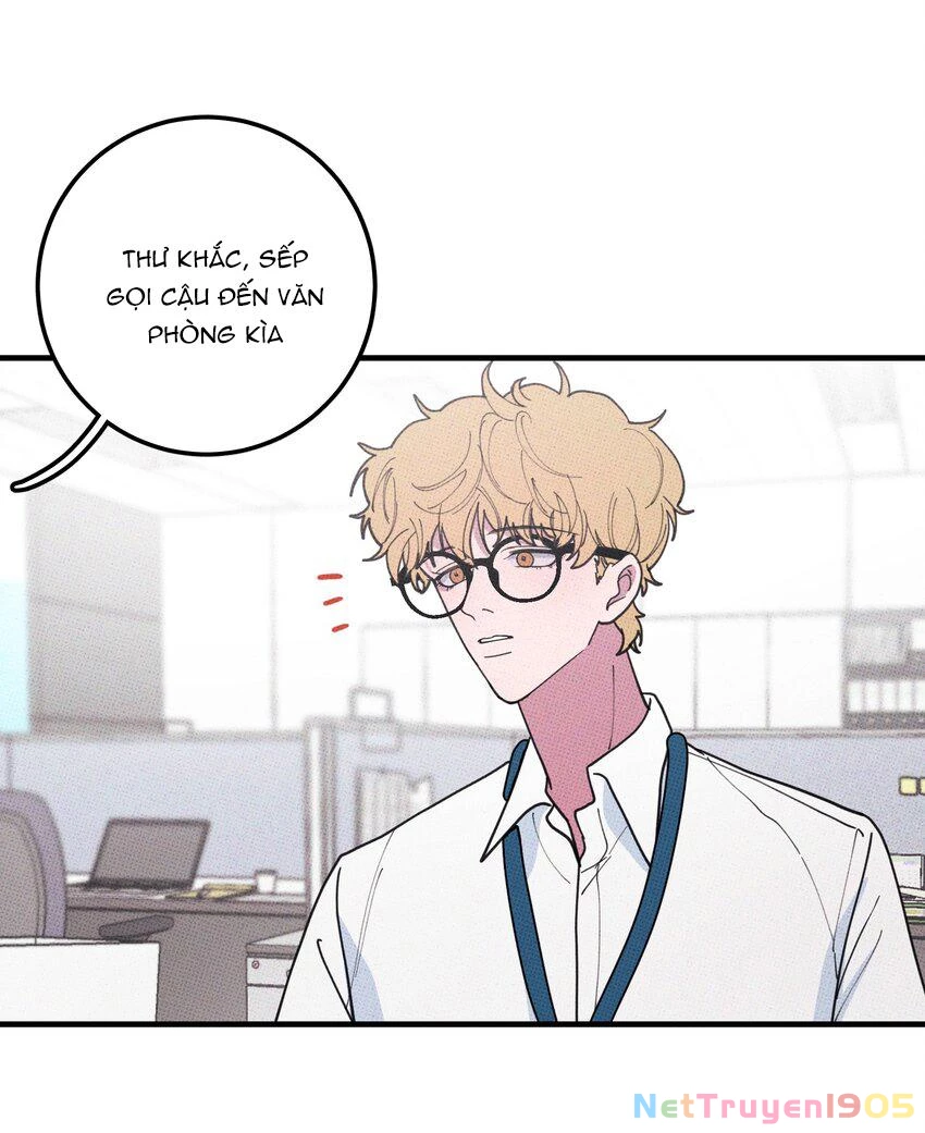 Hộp Bánh Quy Định Mệnh Chapter 35 - 12