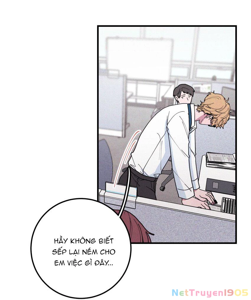 Hộp Bánh Quy Định Mệnh Chapter 35 - 13