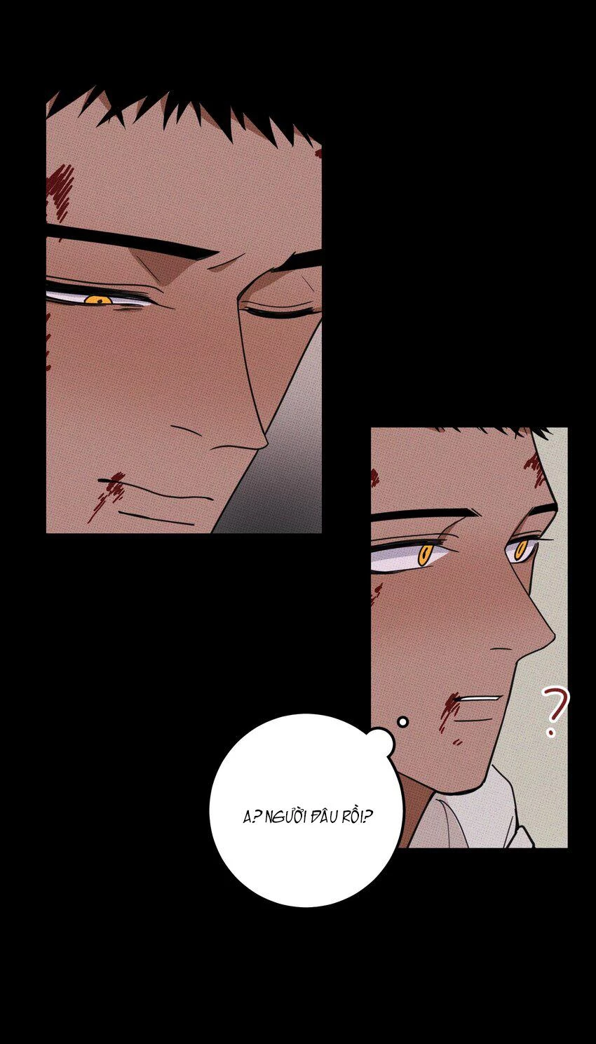 Hộp Bánh Quy Định Mệnh Chapter 35 - 34