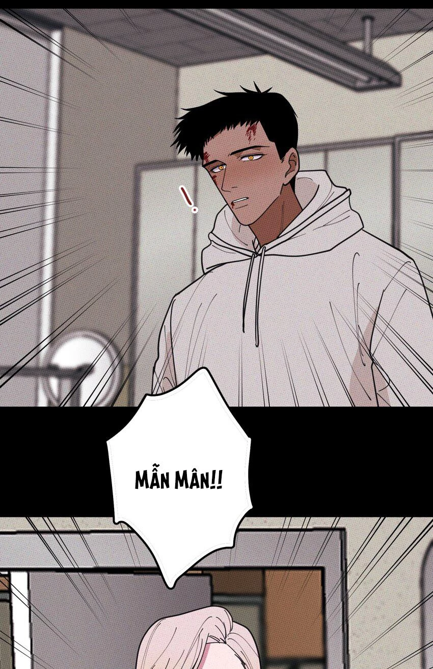 Hộp Bánh Quy Định Mệnh Chapter 35 - 37