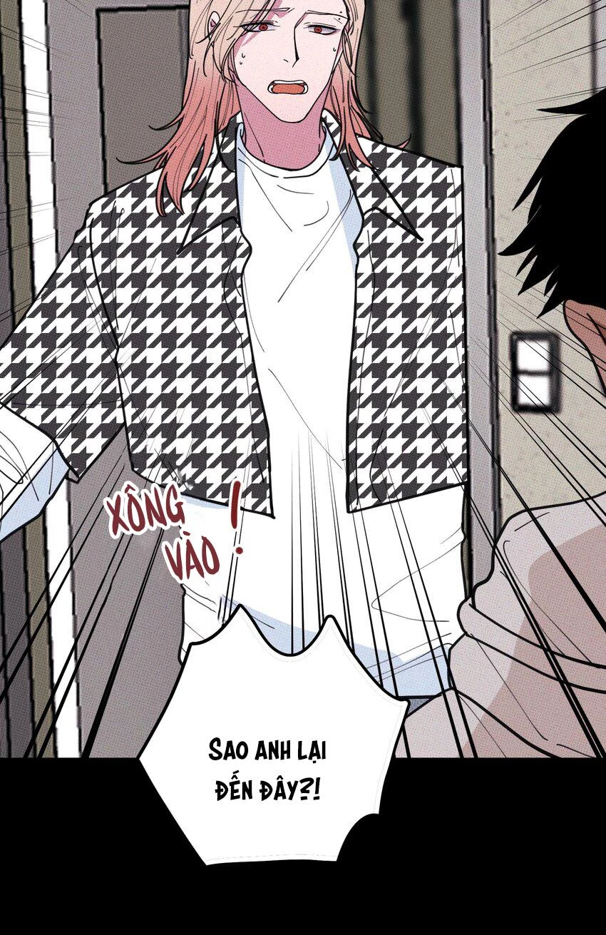 Hộp Bánh Quy Định Mệnh Chapter 35 - 38