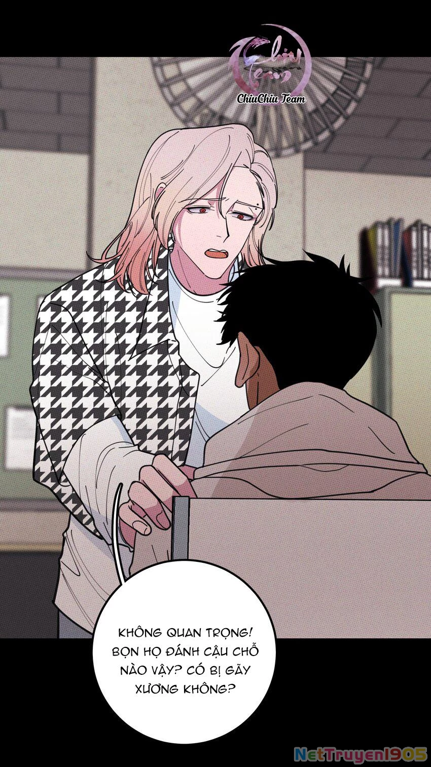 Hộp Bánh Quy Định Mệnh Chapter 35 - 39
