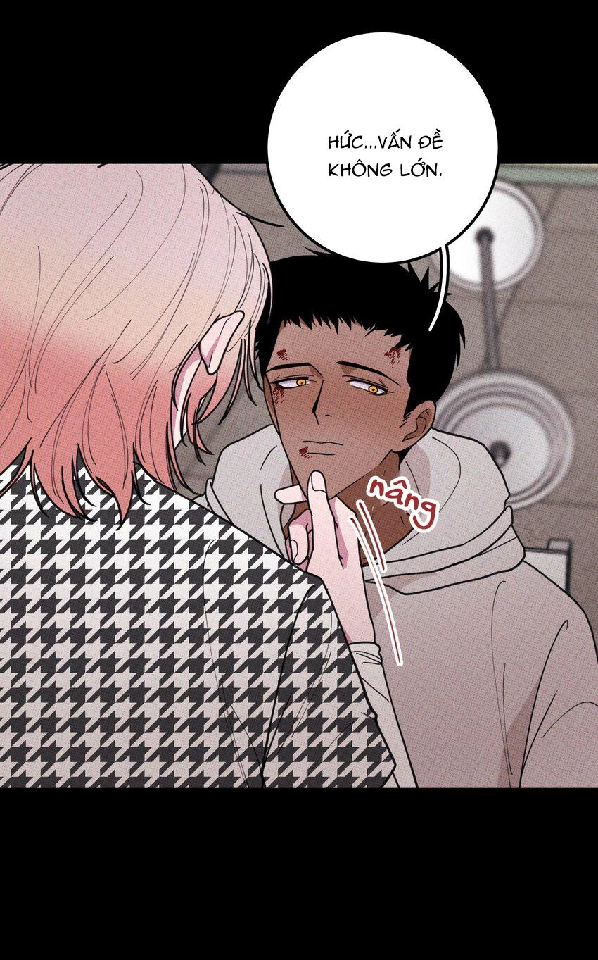 Hộp Bánh Quy Định Mệnh Chapter 35 - 40