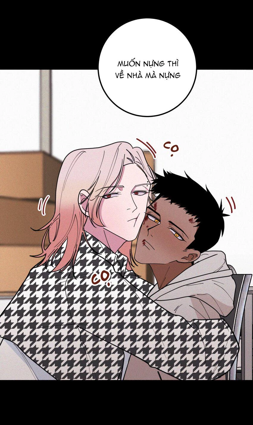 Hộp Bánh Quy Định Mệnh Chapter 35 - 42