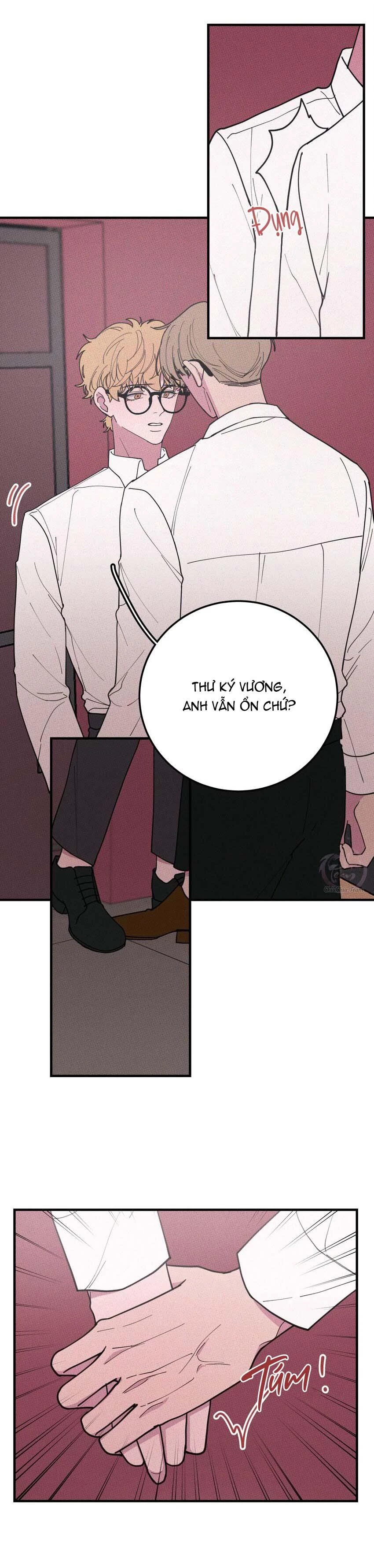 Hộp Bánh Quy Định Mệnh Chapter 36 - 7