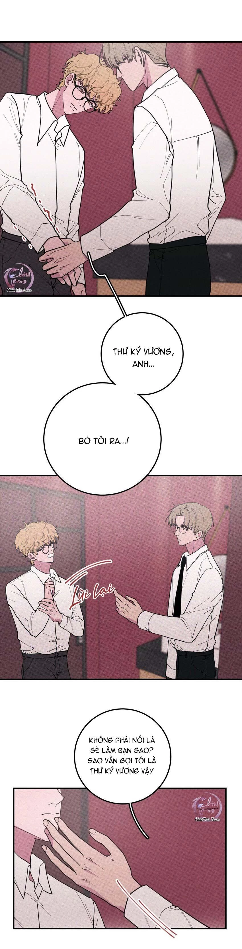 Hộp Bánh Quy Định Mệnh Chapter 36 - 8