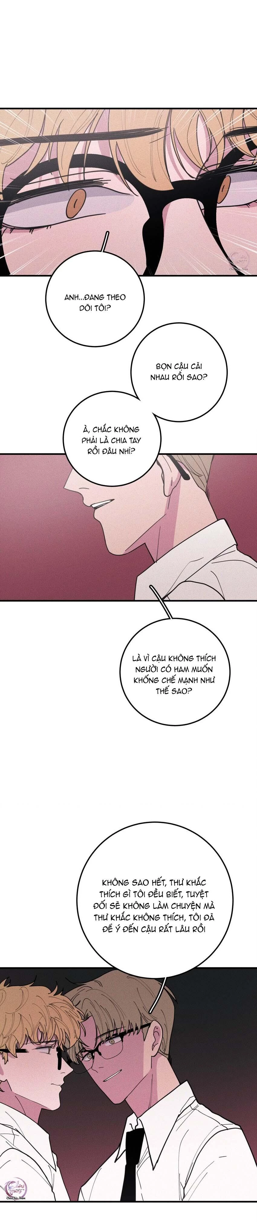 Hộp Bánh Quy Định Mệnh Chapter 36 - 10