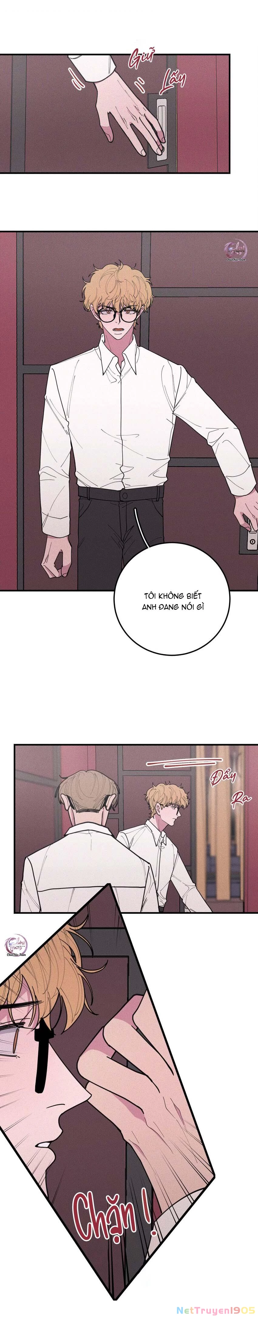 Hộp Bánh Quy Định Mệnh Chapter 36 - 11