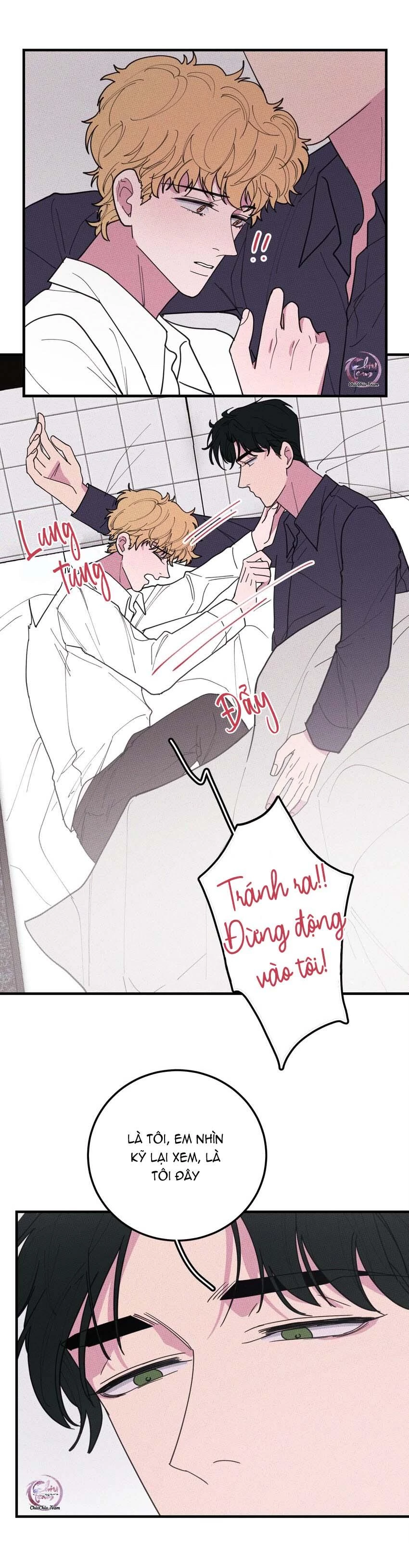 Hộp Bánh Quy Định Mệnh Chapter 37 - 5