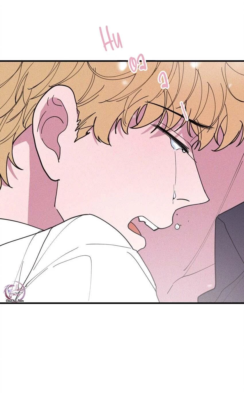 Hộp Bánh Quy Định Mệnh Chapter 37 - 7