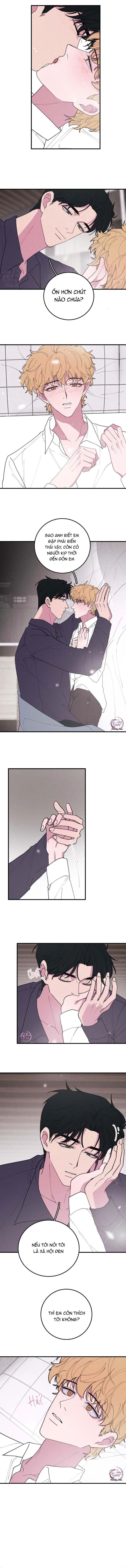 Hộp Bánh Quy Định Mệnh Chapter 37 - 9