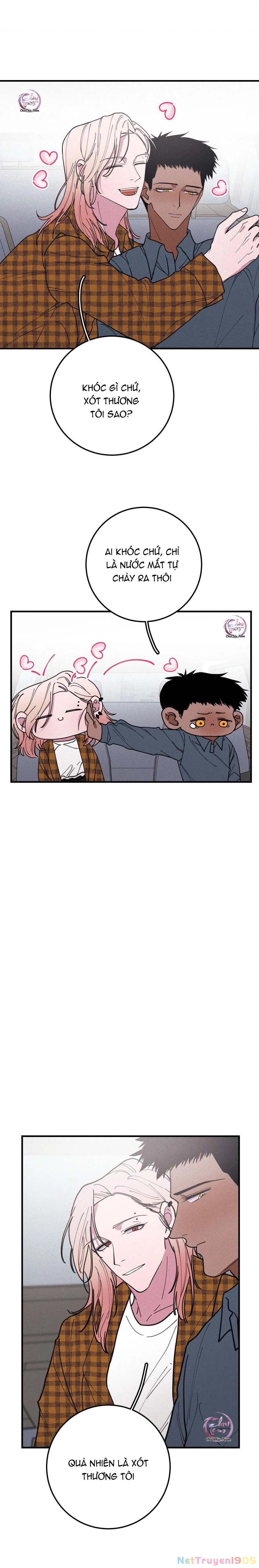 Hộp Bánh Quy Định Mệnh Chapter 38 - 13