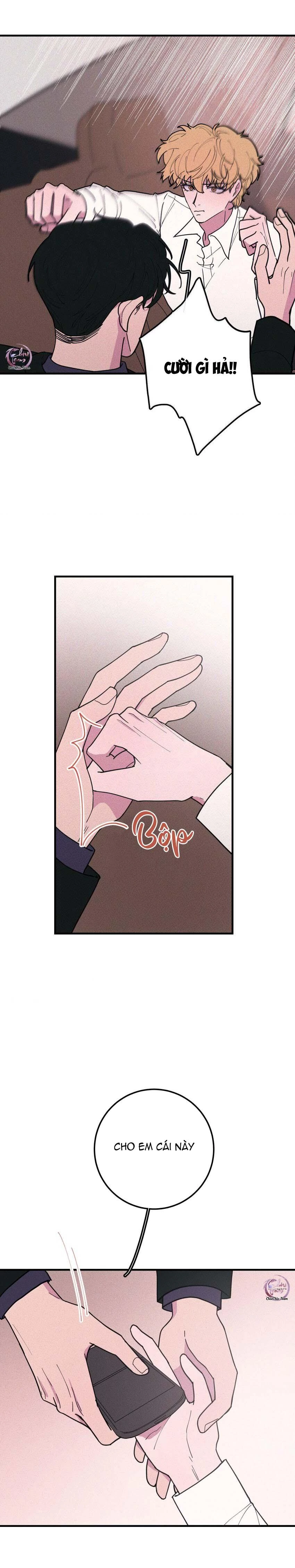 Hộp Bánh Quy Định Mệnh Chapter 40 - 5