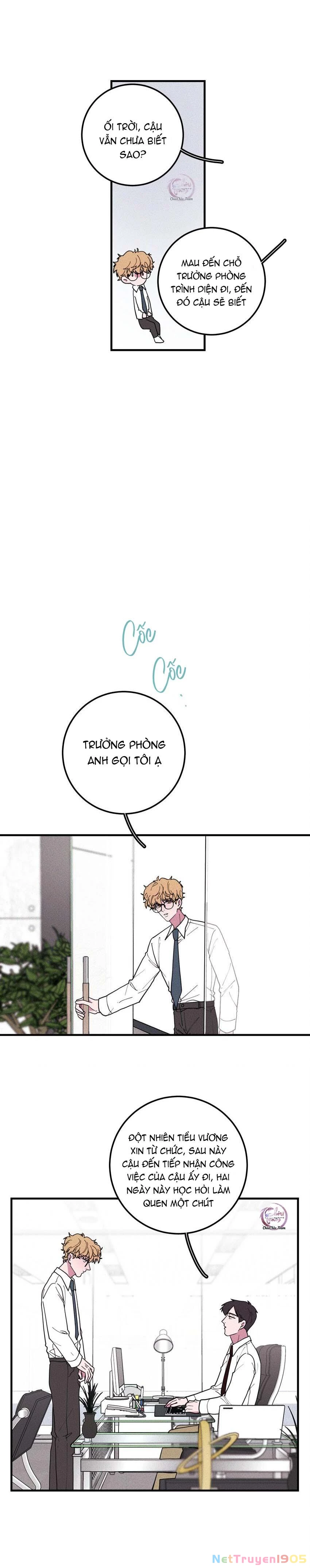 Hộp Bánh Quy Định Mệnh Chapter 40 - 12