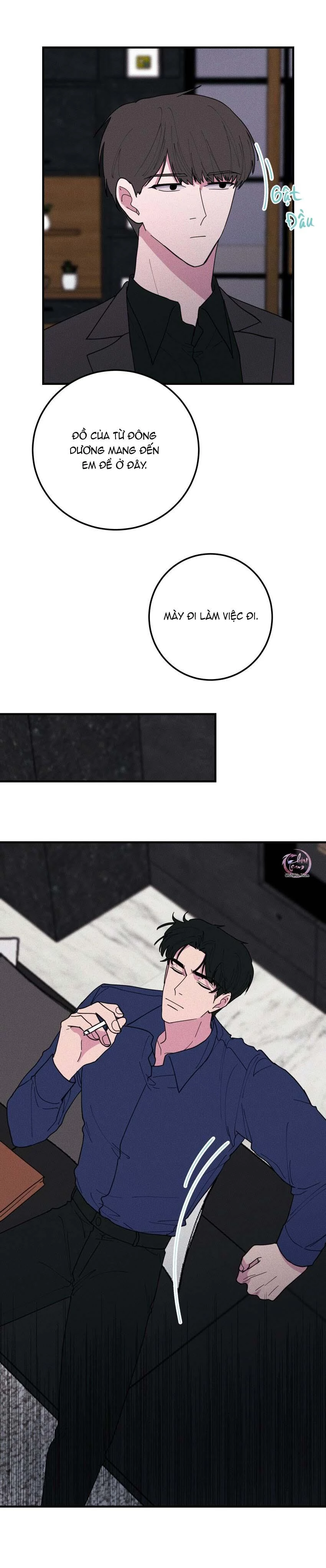 Hộp Bánh Quy Định Mệnh Chapter 41 - 12
