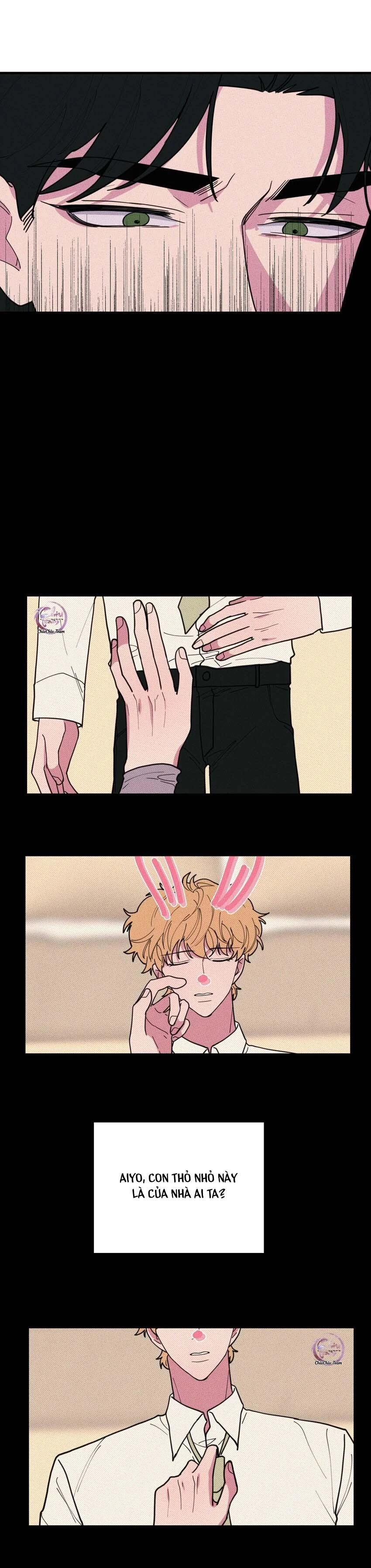 Hộp Bánh Quy Định Mệnh Chapter 45 - 13