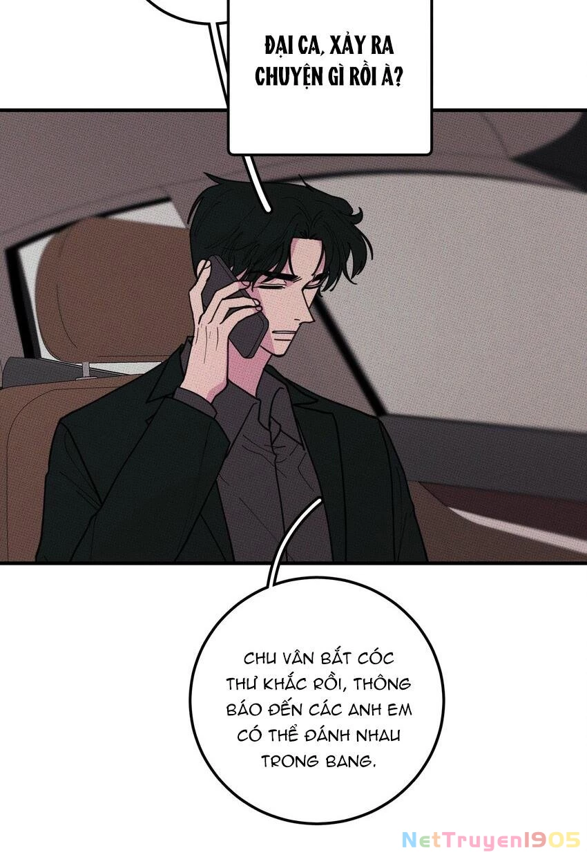 Hộp Bánh Quy Định Mệnh Chapter 46 - 5