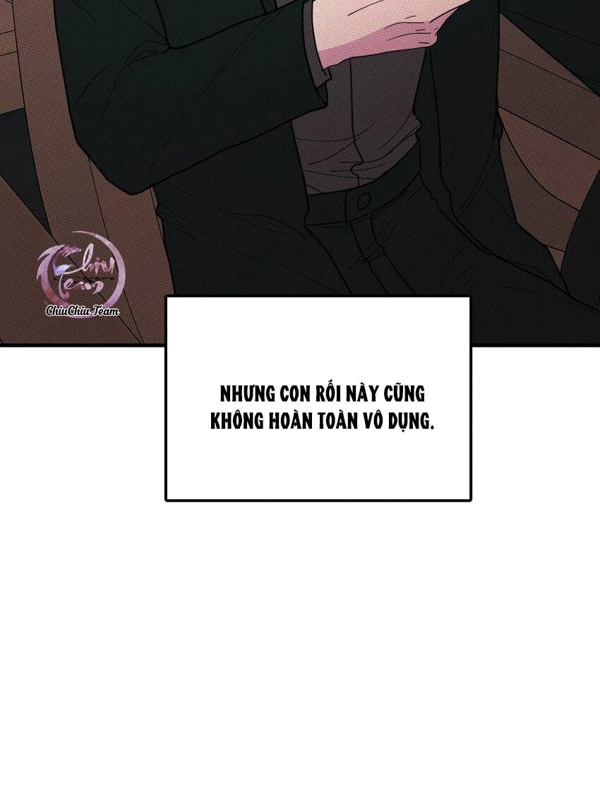 Hộp Bánh Quy Định Mệnh Chapter 46 - 12