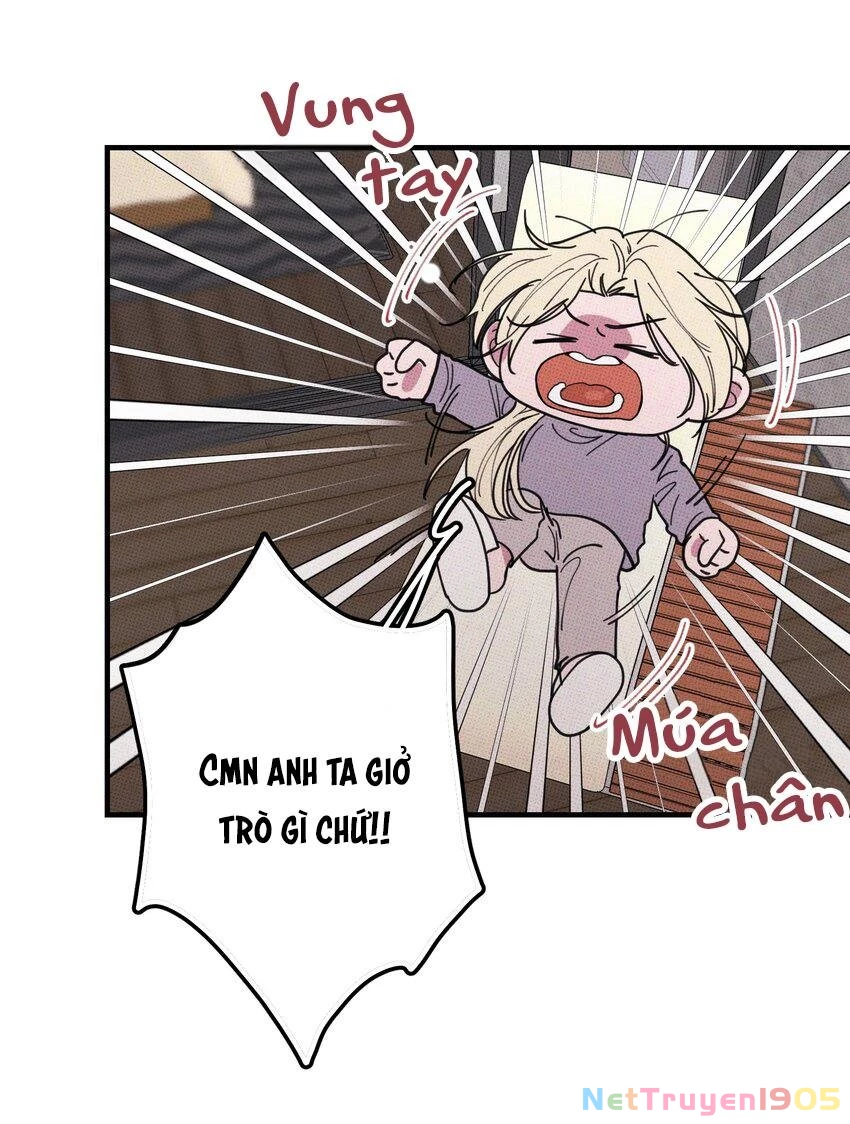 Hộp Bánh Quy Định Mệnh Chapter 46 - 27