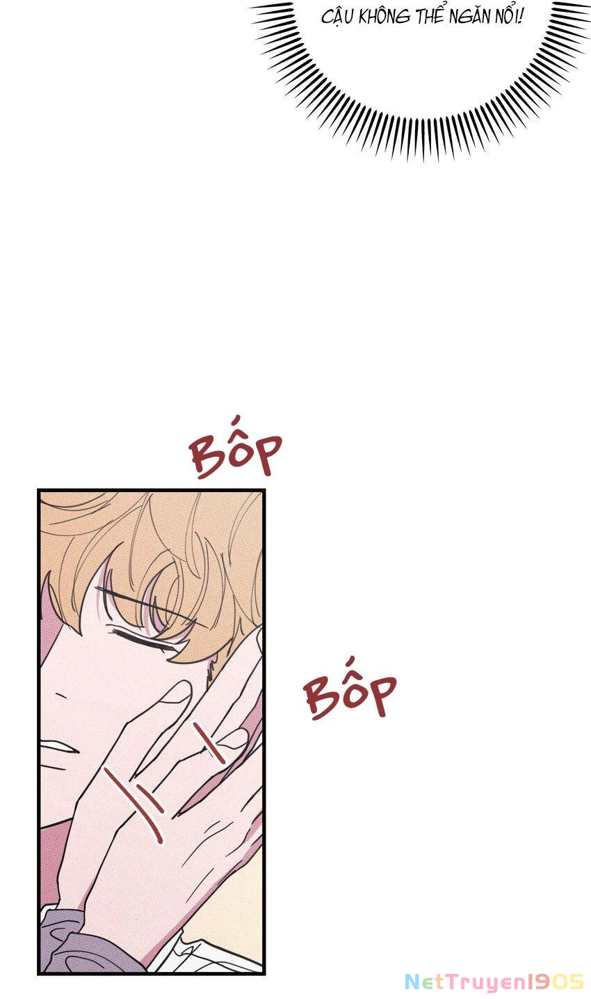 Hộp Bánh Quy Định Mệnh Chapter 46 - 29