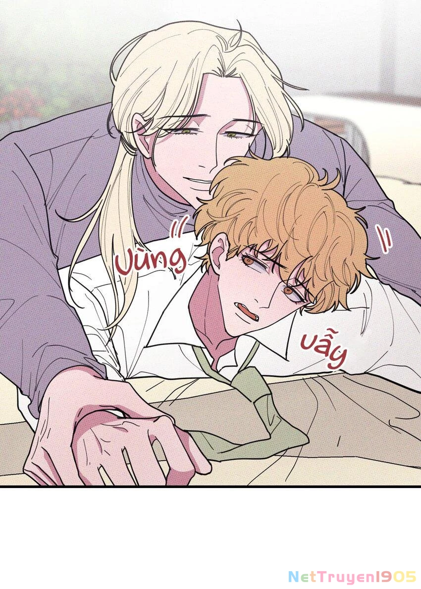 Hộp Bánh Quy Định Mệnh Chapter 46 - 35