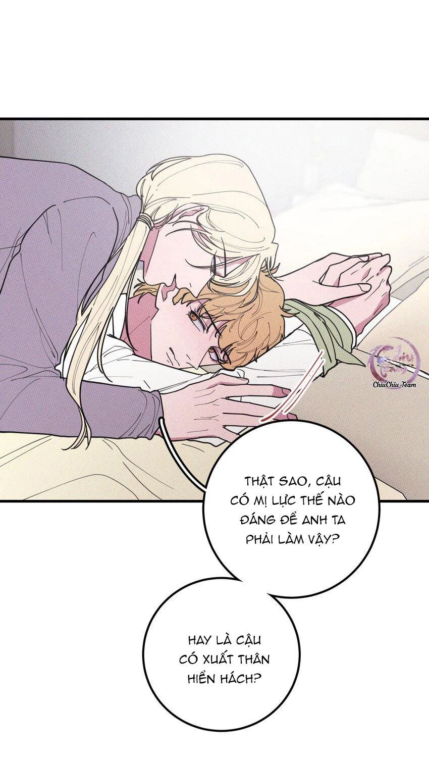 Hộp Bánh Quy Định Mệnh Chapter 46 - 38