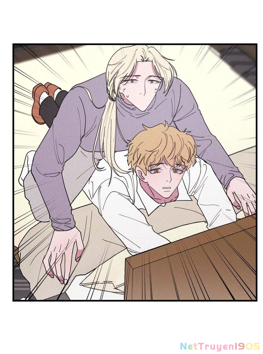 Hộp Bánh Quy Định Mệnh Chapter 47 - 4