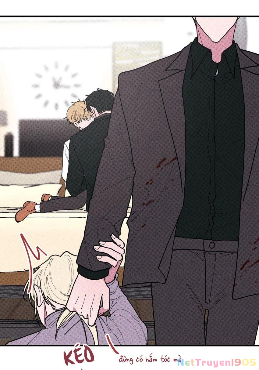 Hộp Bánh Quy Định Mệnh Chapter 47 - 7