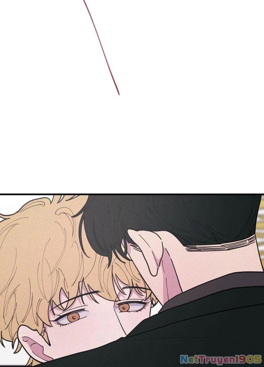 Hộp Bánh Quy Định Mệnh Chapter 47 - 8