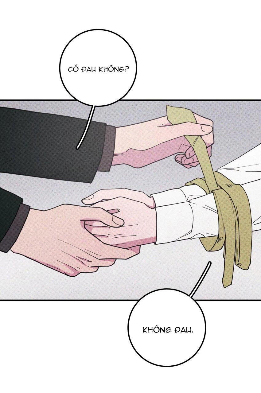 Hộp Bánh Quy Định Mệnh Chapter 47 - 11