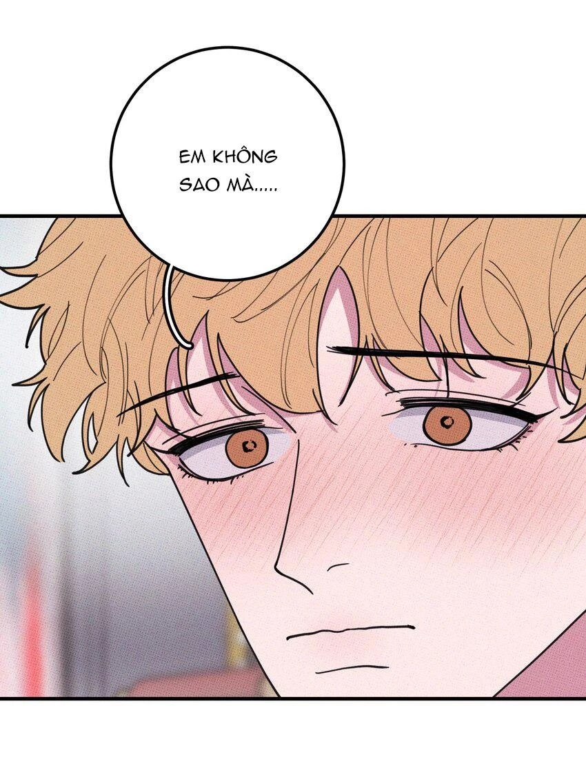 Hộp Bánh Quy Định Mệnh Chapter 47 - 15