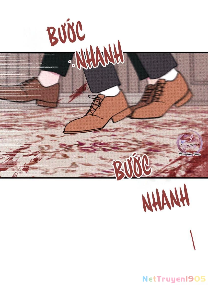 Hộp Bánh Quy Định Mệnh Chapter 47 - 19