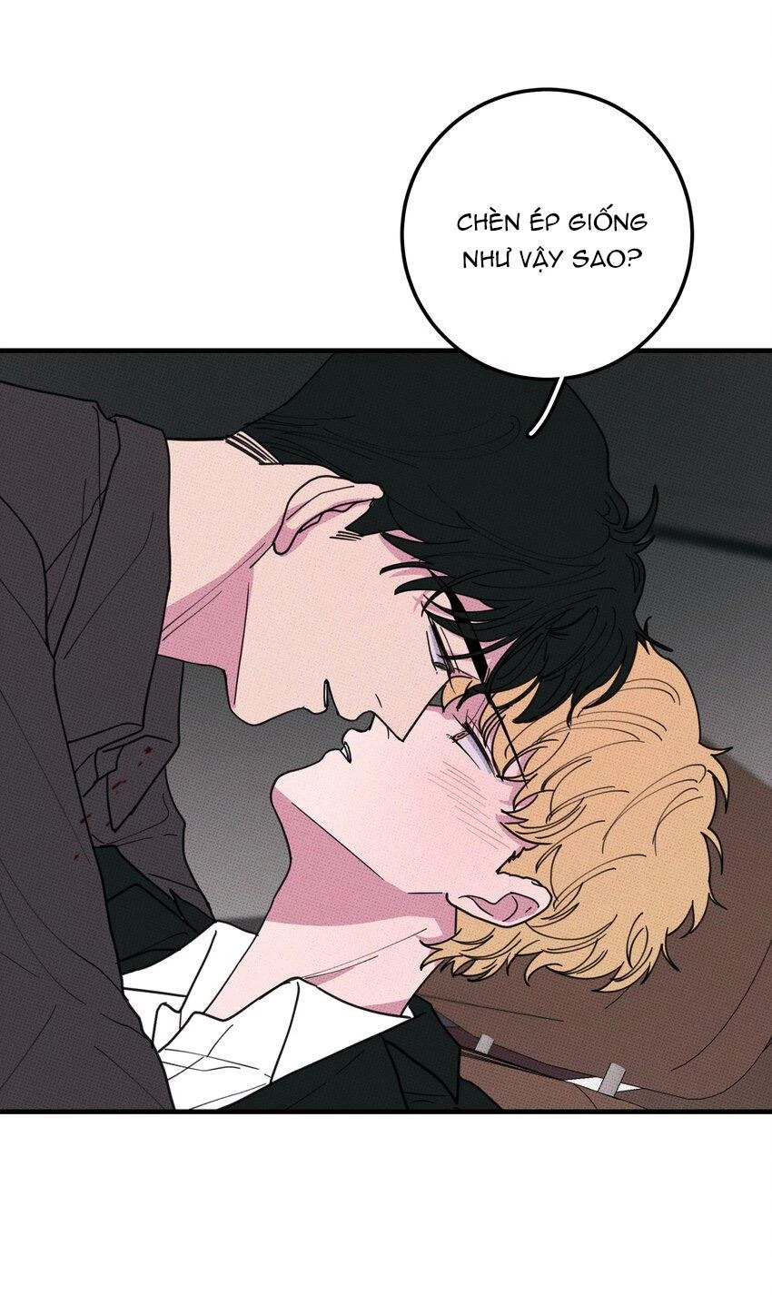 Hộp Bánh Quy Định Mệnh Chapter 47 - 34
