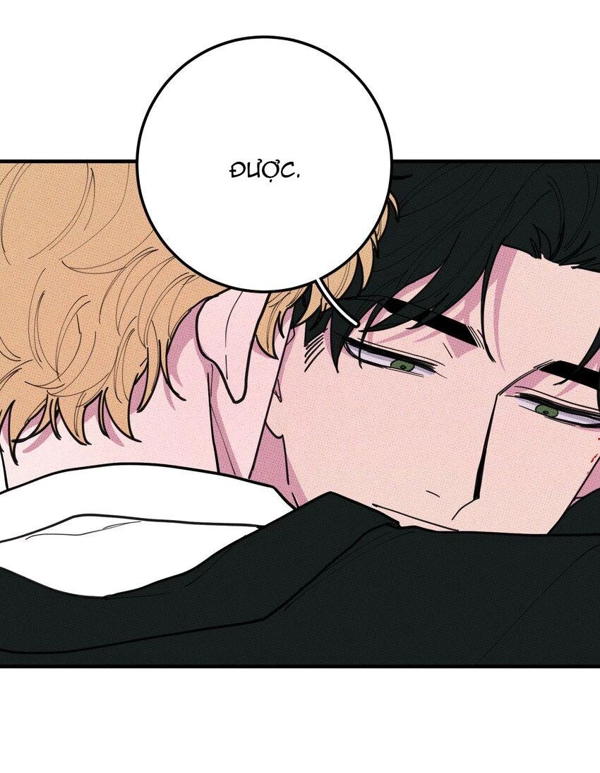 Hộp Bánh Quy Định Mệnh Chapter 47 - 37