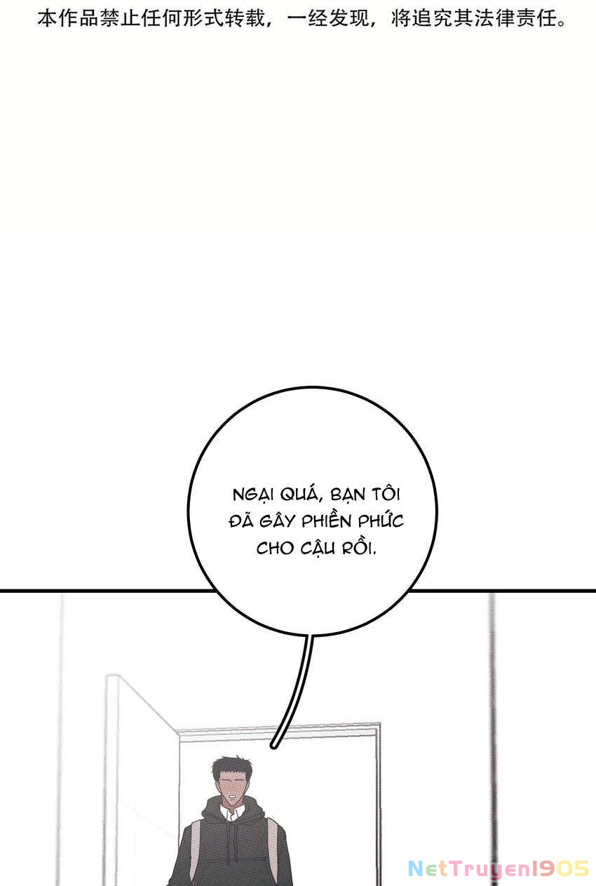 Hộp Bánh Quy Định Mệnh Chapter 48 - 8