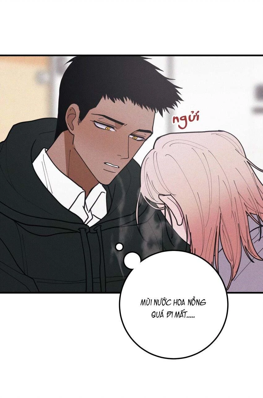 Hộp Bánh Quy Định Mệnh Chapter 48 - 10