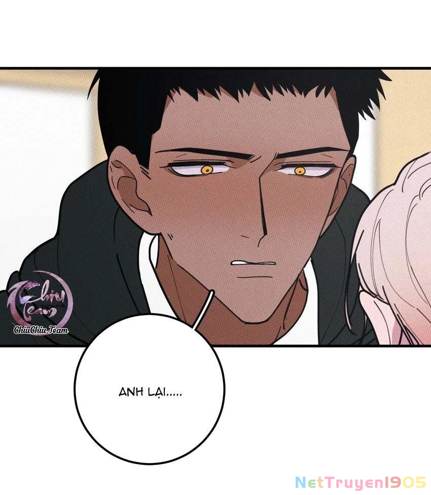 Hộp Bánh Quy Định Mệnh Chapter 48 - 11