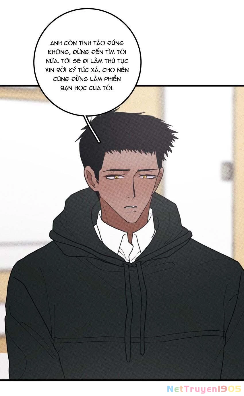 Hộp Bánh Quy Định Mệnh Chapter 48 - 12