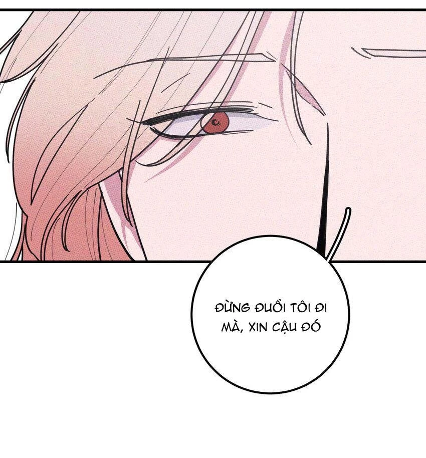 Hộp Bánh Quy Định Mệnh Chapter 48 - 16