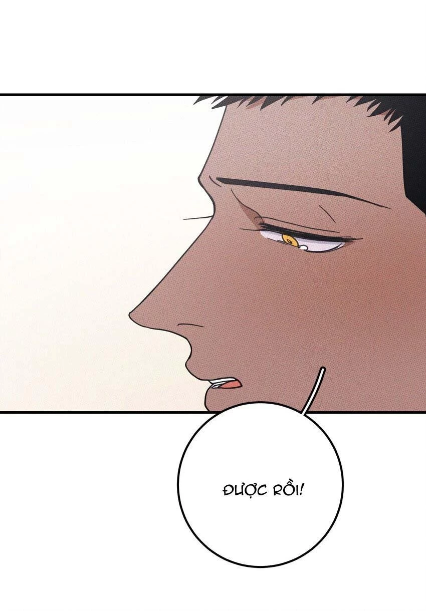 Hộp Bánh Quy Định Mệnh Chapter 48 - 28