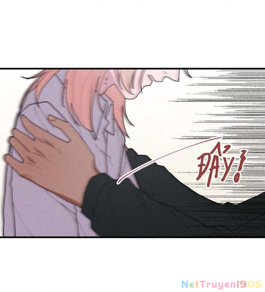 Hộp Bánh Quy Định Mệnh Chapter 48 - 29