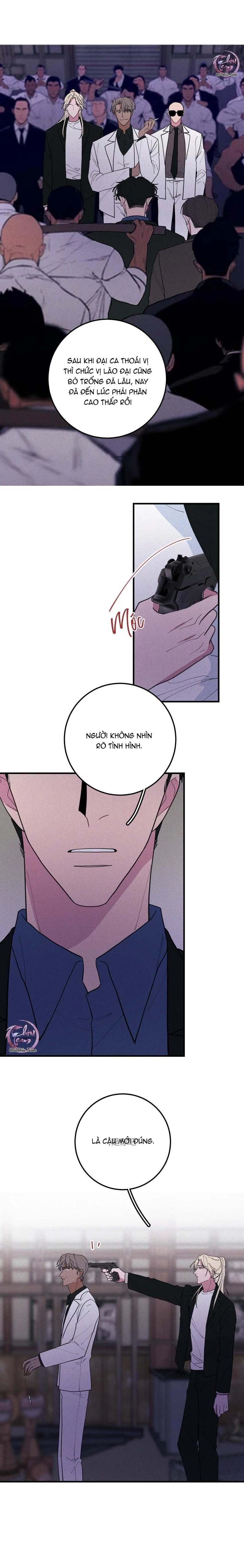 Hộp Bánh Quy Định Mệnh Chapter 49 - 5