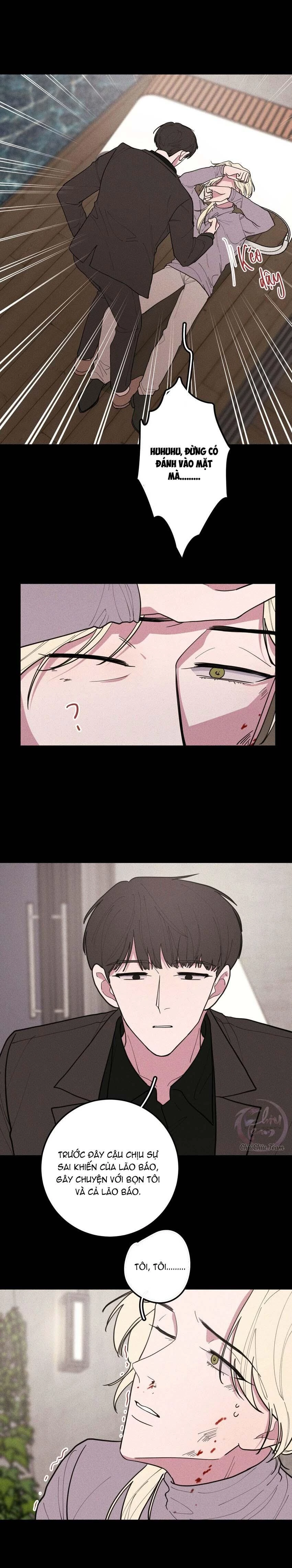 Hộp Bánh Quy Định Mệnh Chapter 49 - 7