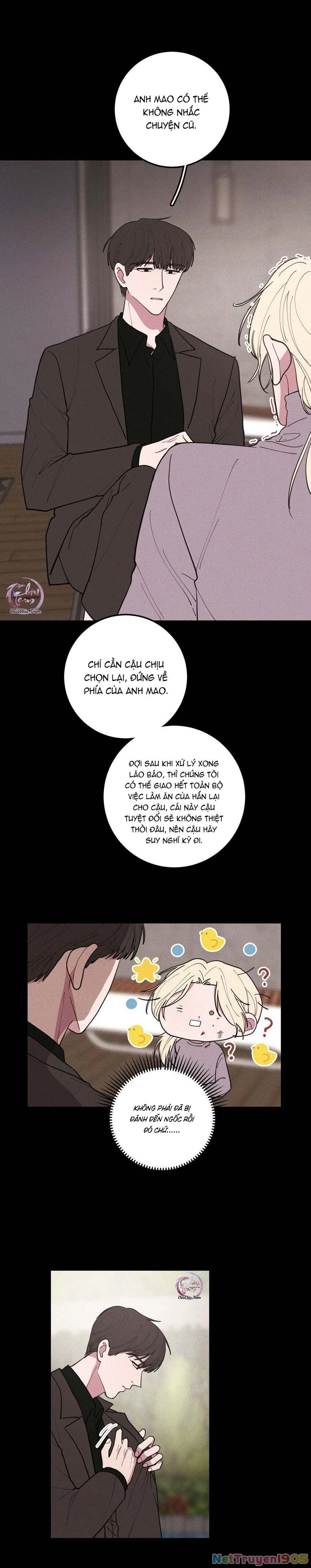 Hộp Bánh Quy Định Mệnh Chapter 49 - 8