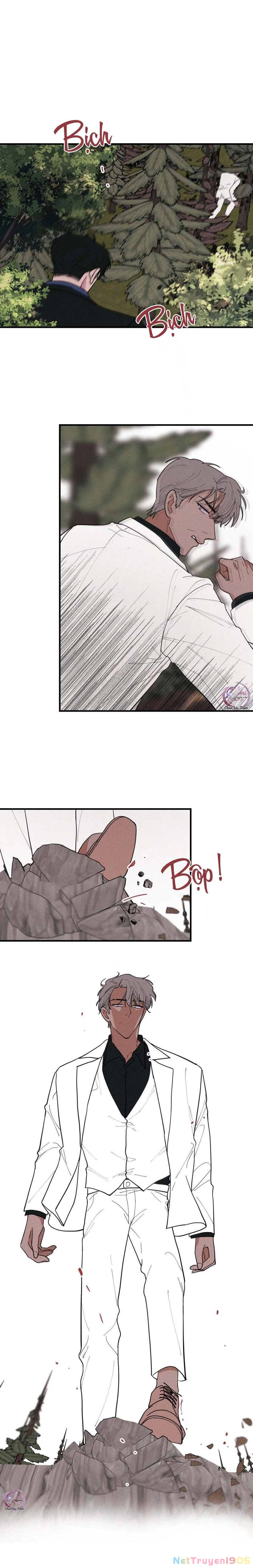 Hộp Bánh Quy Định Mệnh Chapter 49 - 11