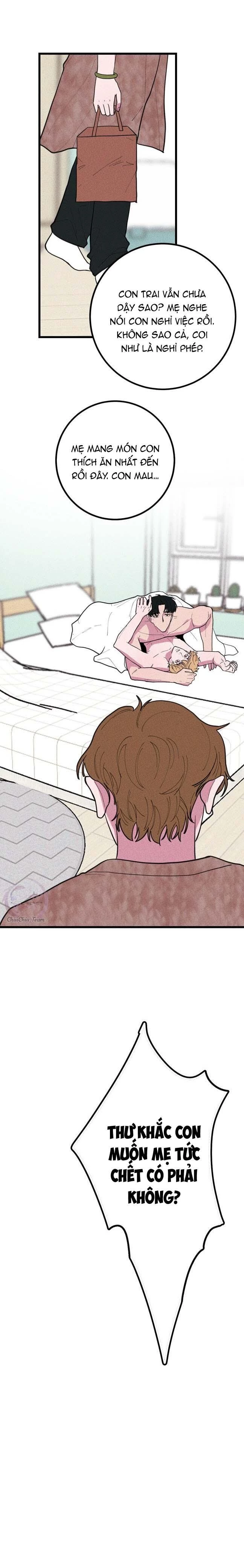 Hộp Bánh Quy Định Mệnh Chapter 50 - 9