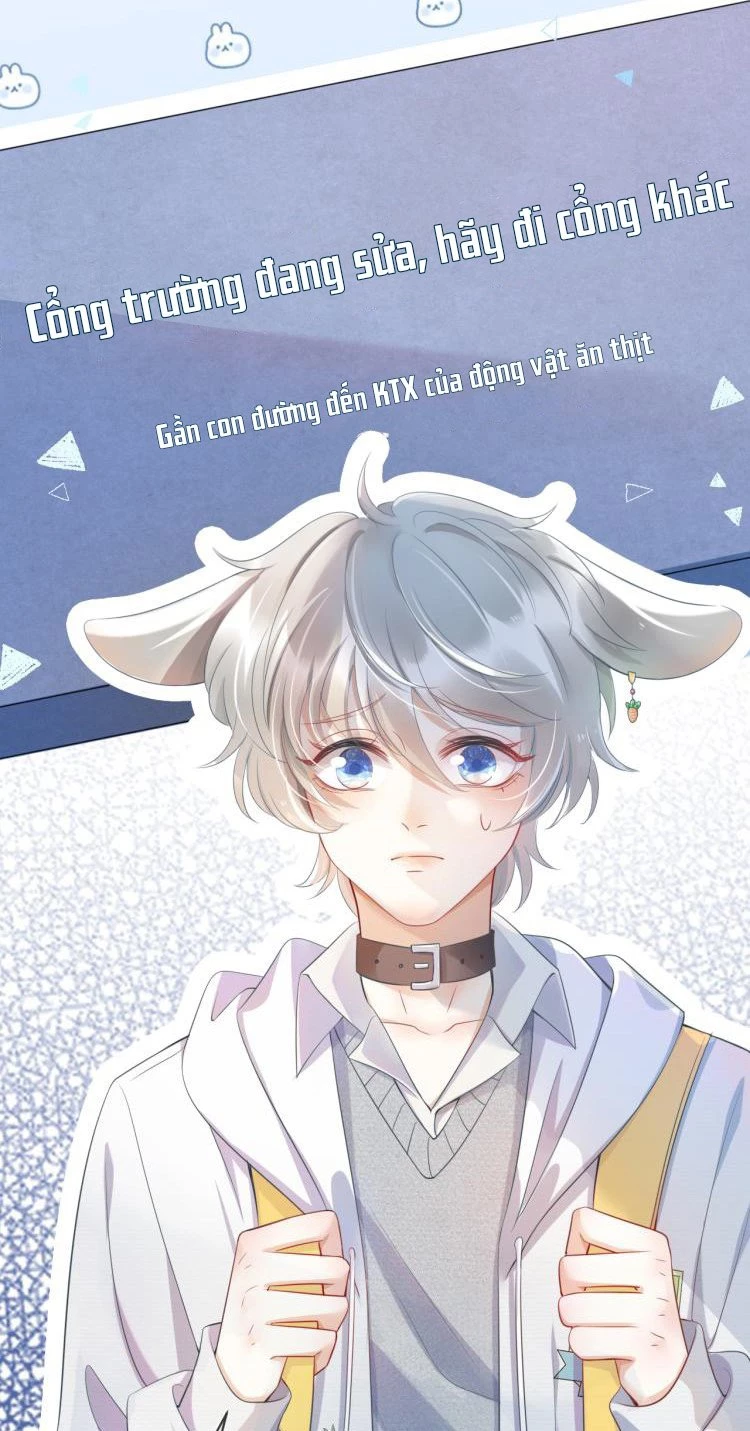 Một Ngụm Nuốt Trọn Thỏ Con Chapter 1 - 4